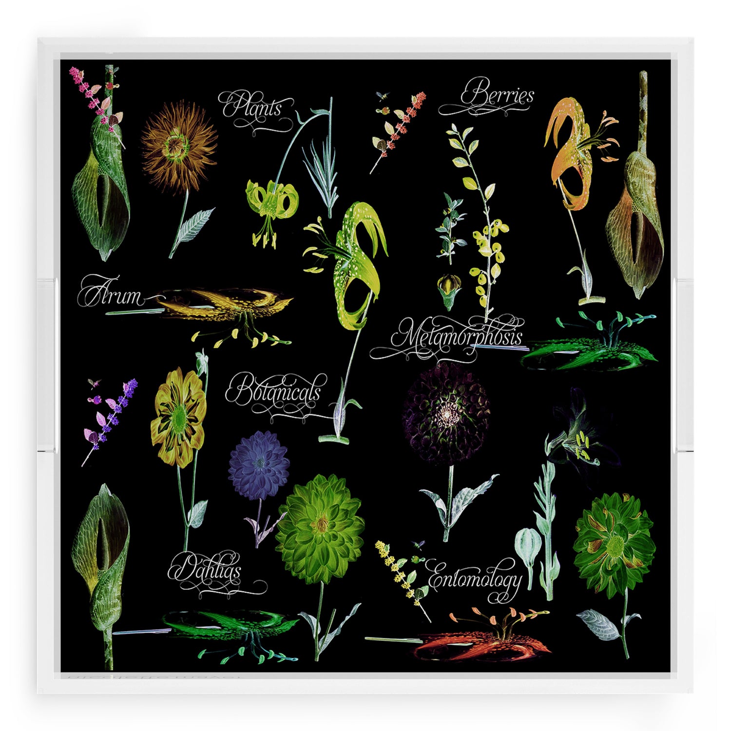 Botanicals Xray Greens 18X18 Acrylic Tray - nicolettemayer.com
