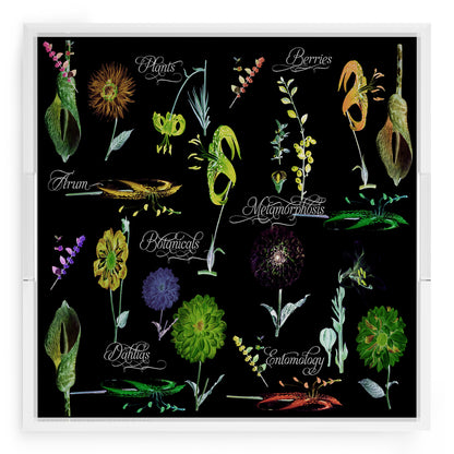 Botanicals Xray Greens 18X18 Acrylic Tray - nicolettemayer.com
