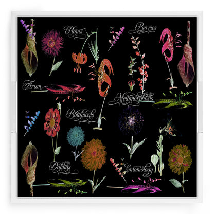 Botanicals Xray Reds 18X18 Acrylic Tray - nicolettemayer.com
