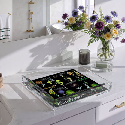Botanicals Xray Greens 12X12 Acrylic Tray - nicolettemayer.com
