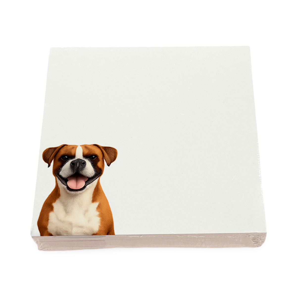 Boxer dog note cards by Nicolette Mayer, set of 100