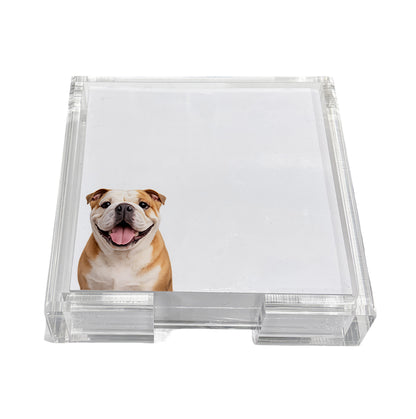 Bulldog note cards in a clear acrylic holder by Nicolette Mayer