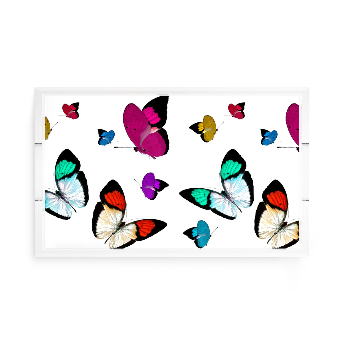 Butterflies Original Acrylic Decorative Tray, 17 x 10.5 in. by Nicolette Mayer 