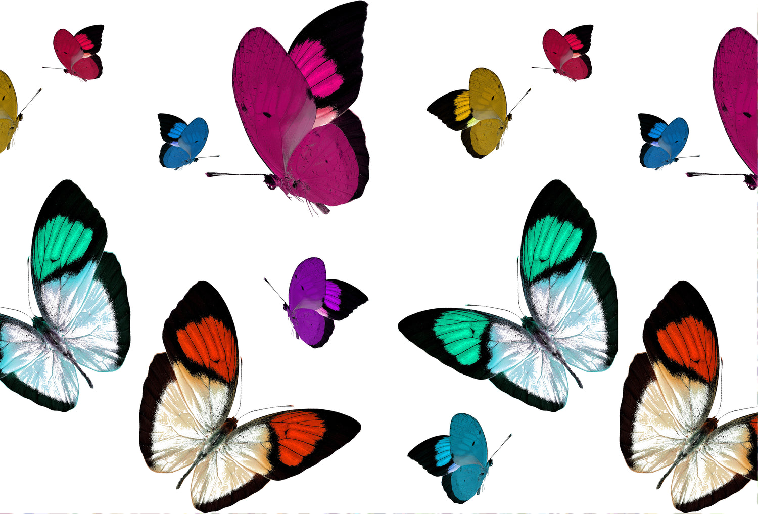 Butterflies Paper Placemat Pad, One Set Of 24