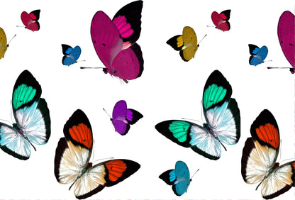 Butterflies Paper Placemat Pad, One Set Of 24