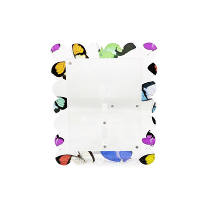 Butterflies Acrylic Scallop Frame