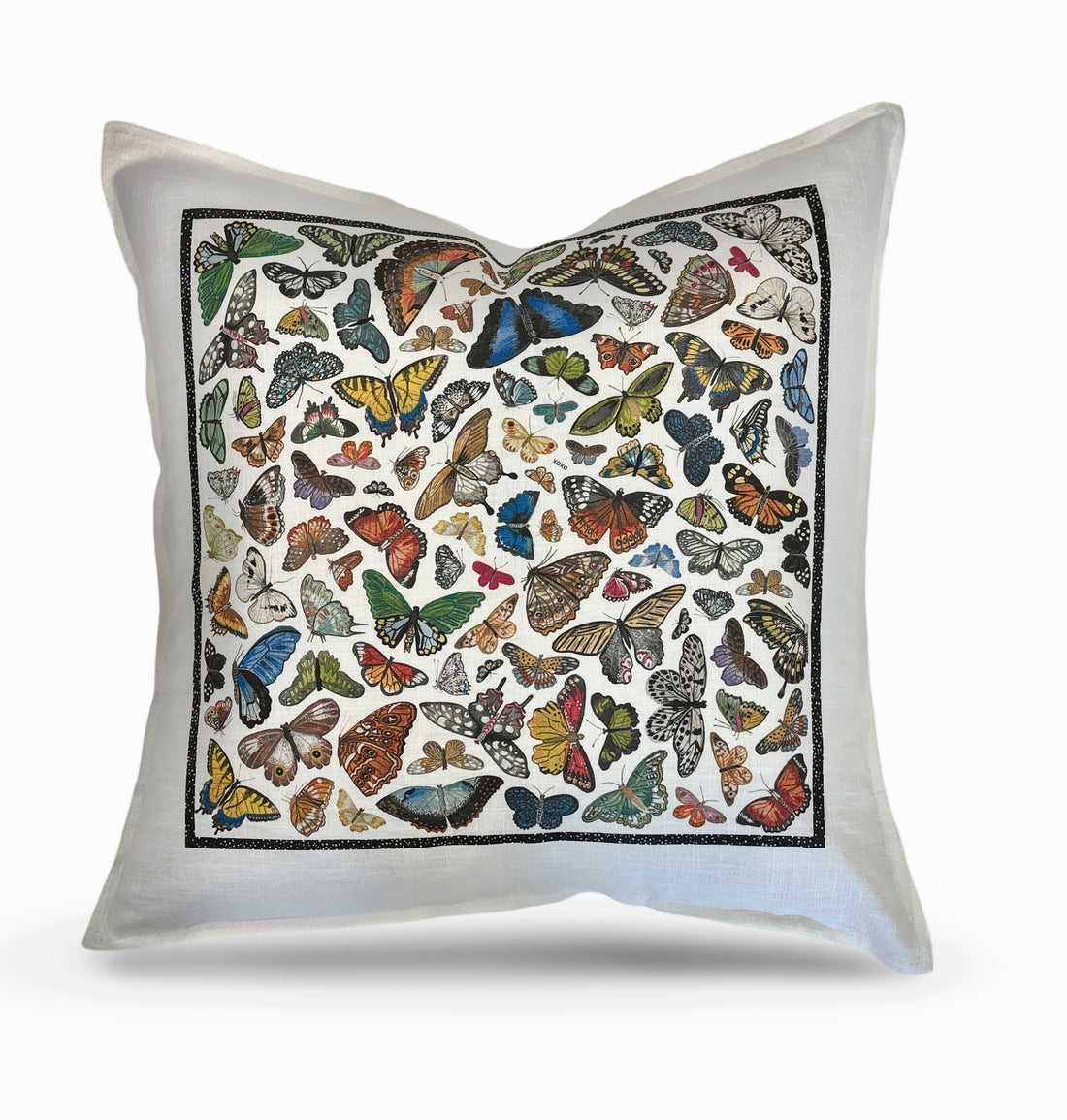 Butterflies XOXO 22x22 White Flange Pillow