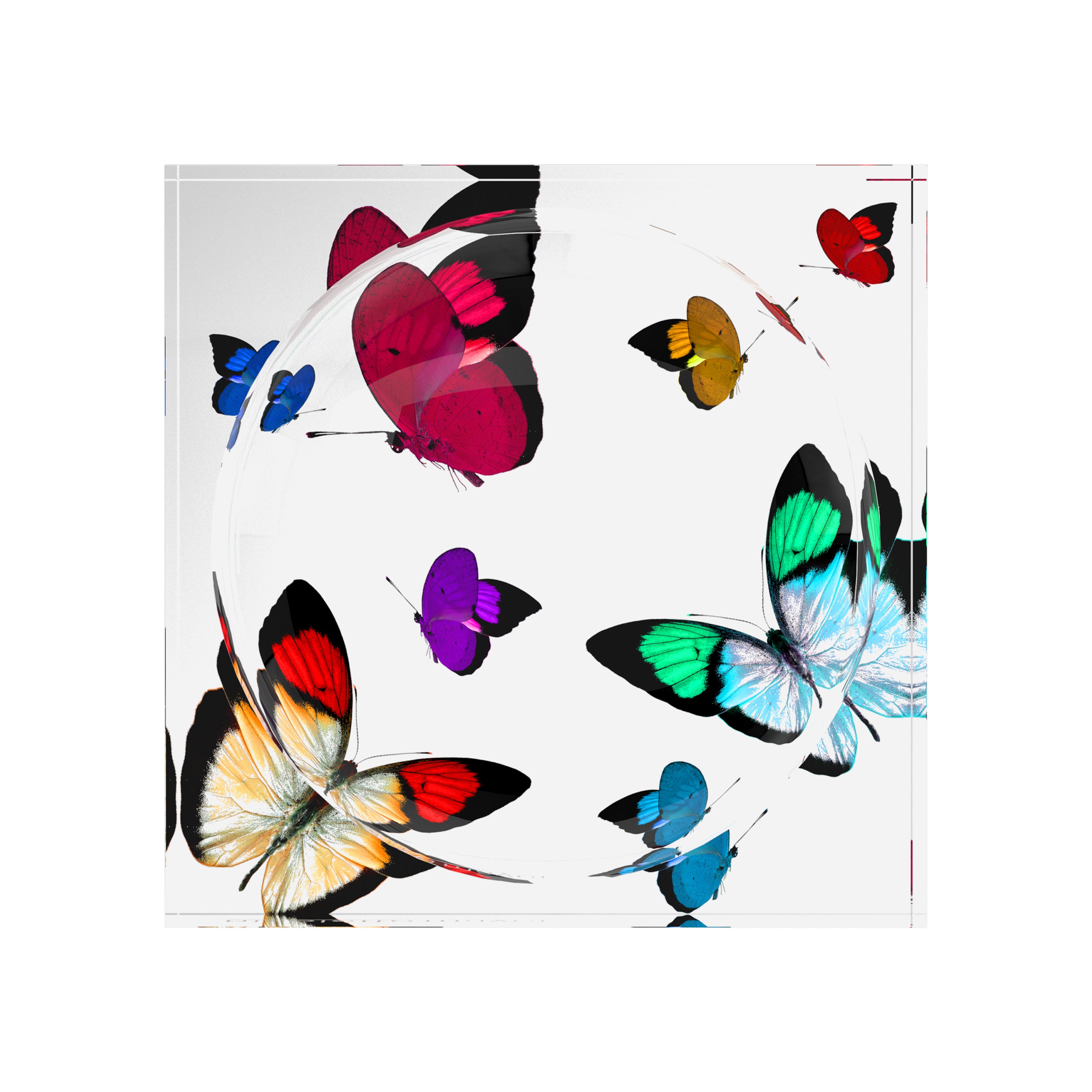 Butterflies Original Acrylic Candy Catchall Dish | nicolettemayer.com