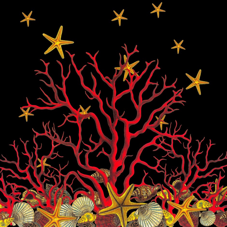 Coral Reef Black – 36x36" Modern Acrylic Wall Art - nicolettemayer.com