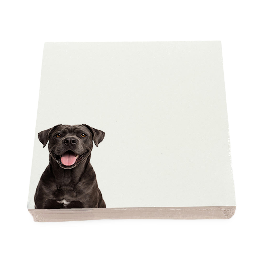 Cane Corso dog note cards by Nicolette Mayer, set of 100