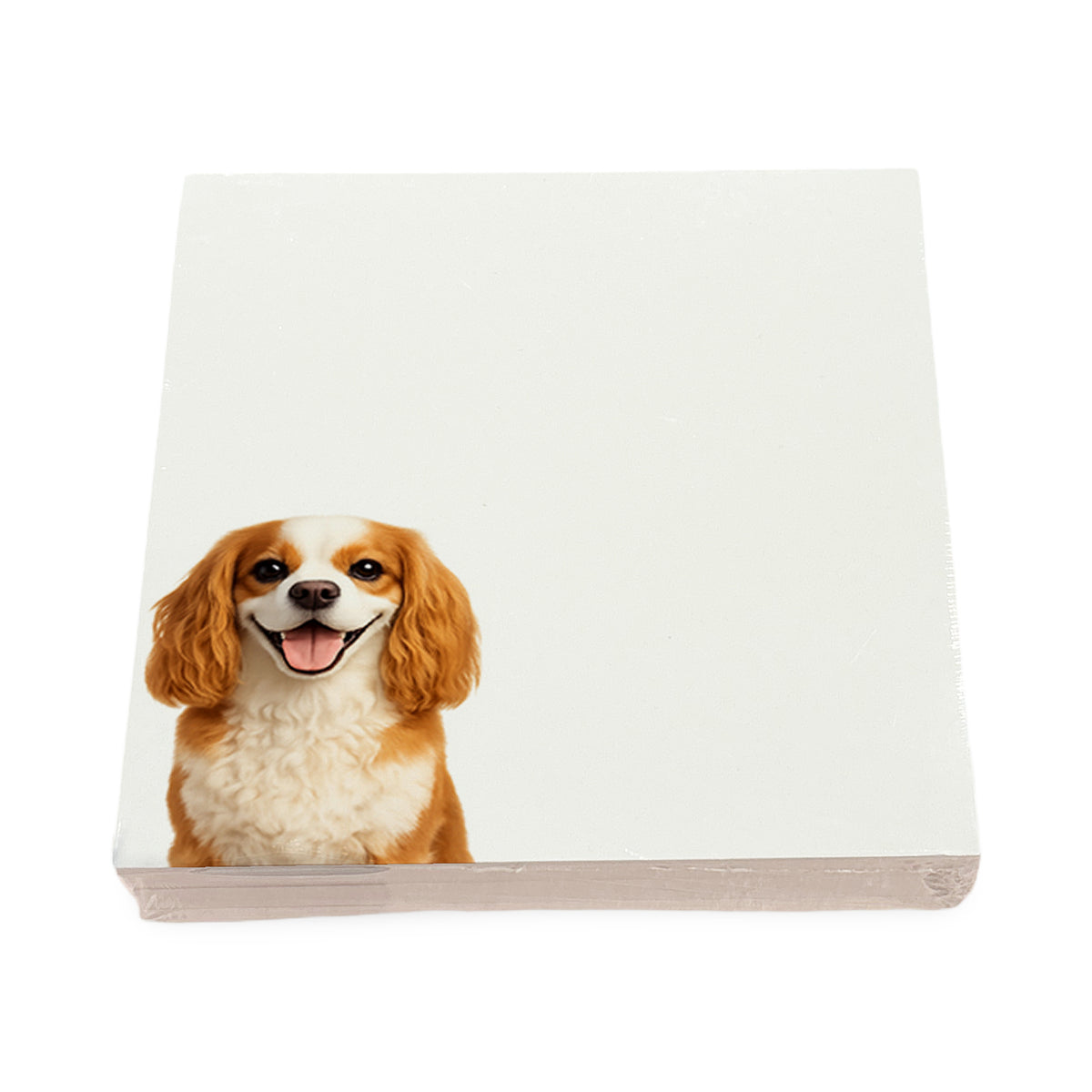 Cavalier King Charles Spaniel dog note cards by Nicolette Mayer, set of 100