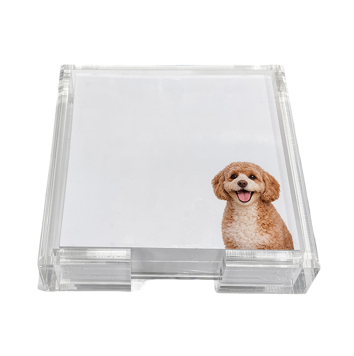 Cavapoo dog note cards in a clear acrylic holder by Nicolette Mayer
