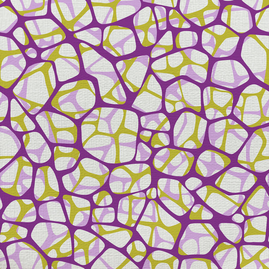 Cellular Express swatch