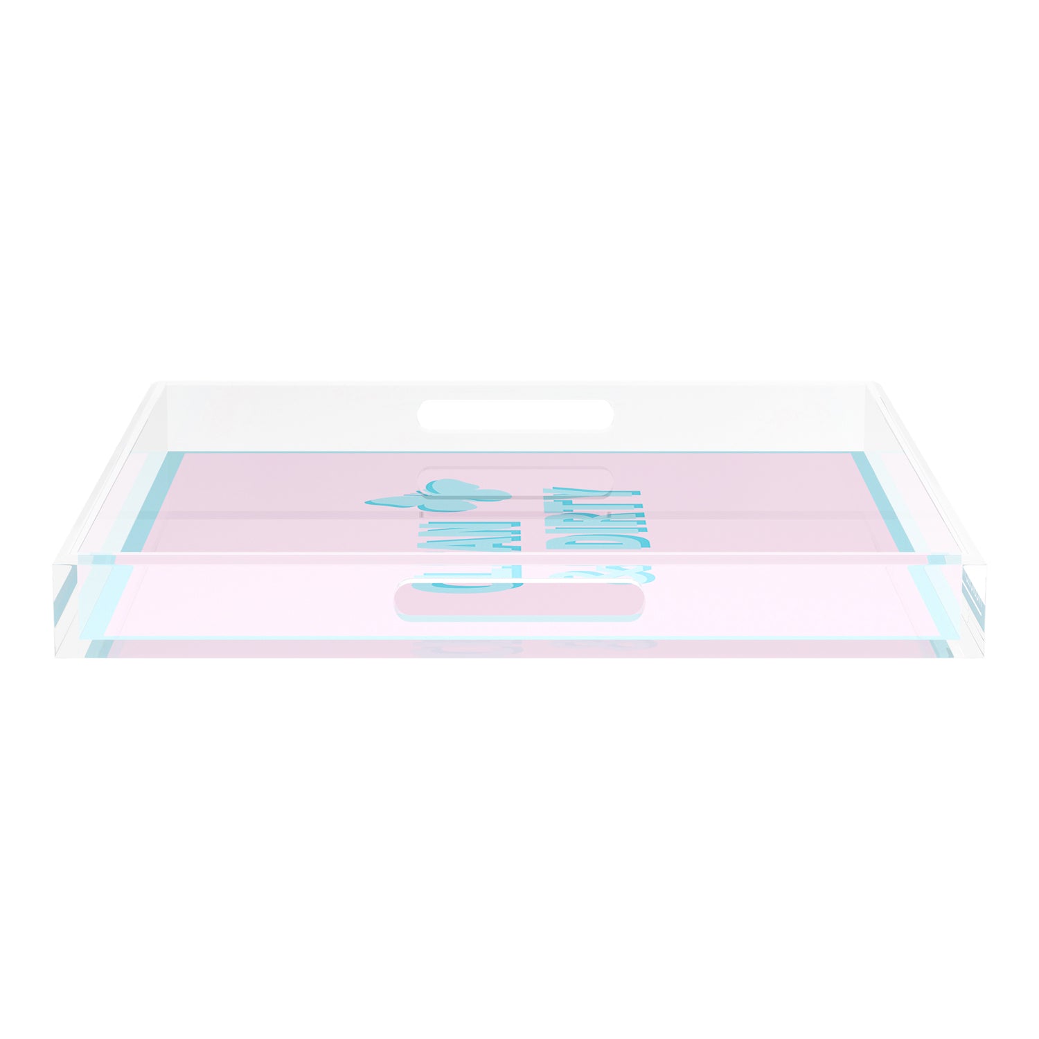 Canasta Clean and Dirty Pale Pink Blue 18X18 Acrylic Tray - nicolettemayer.com 
