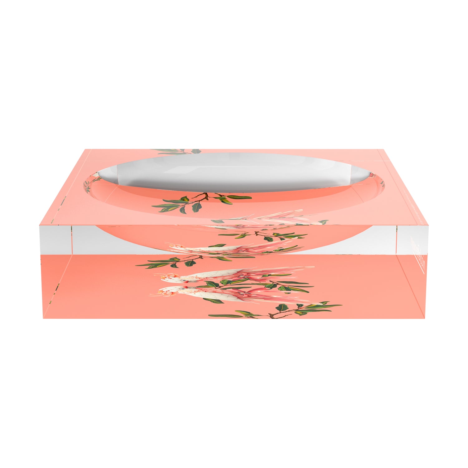 Cockatoo Paradiso Corallo  Acrylic Candy Catchall Dish