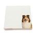 Collie dog note cards by Nicolette Mayer, set of 100