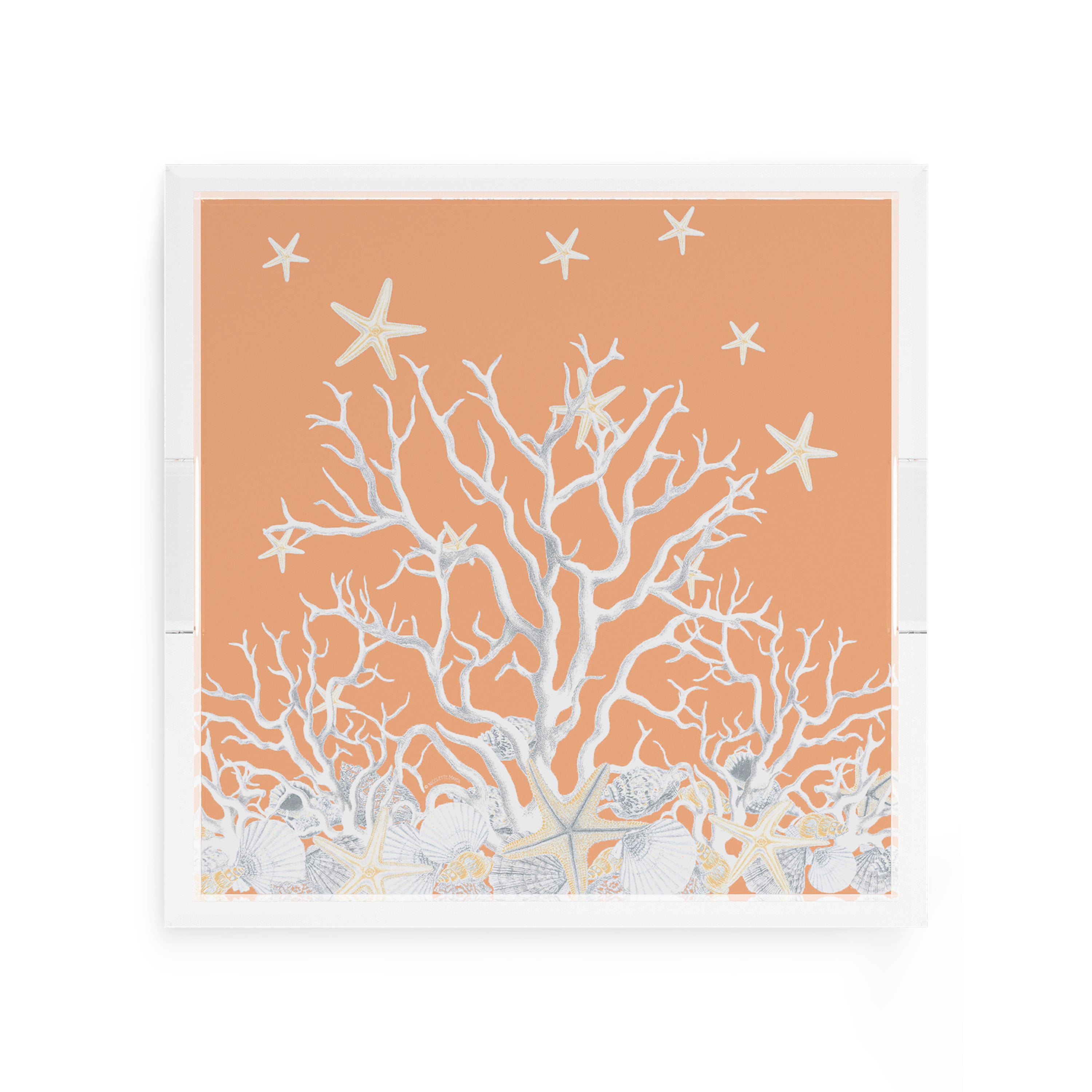 Coral Reef Peach 12X12 Acrylic Tray - nicolettemayer.com
