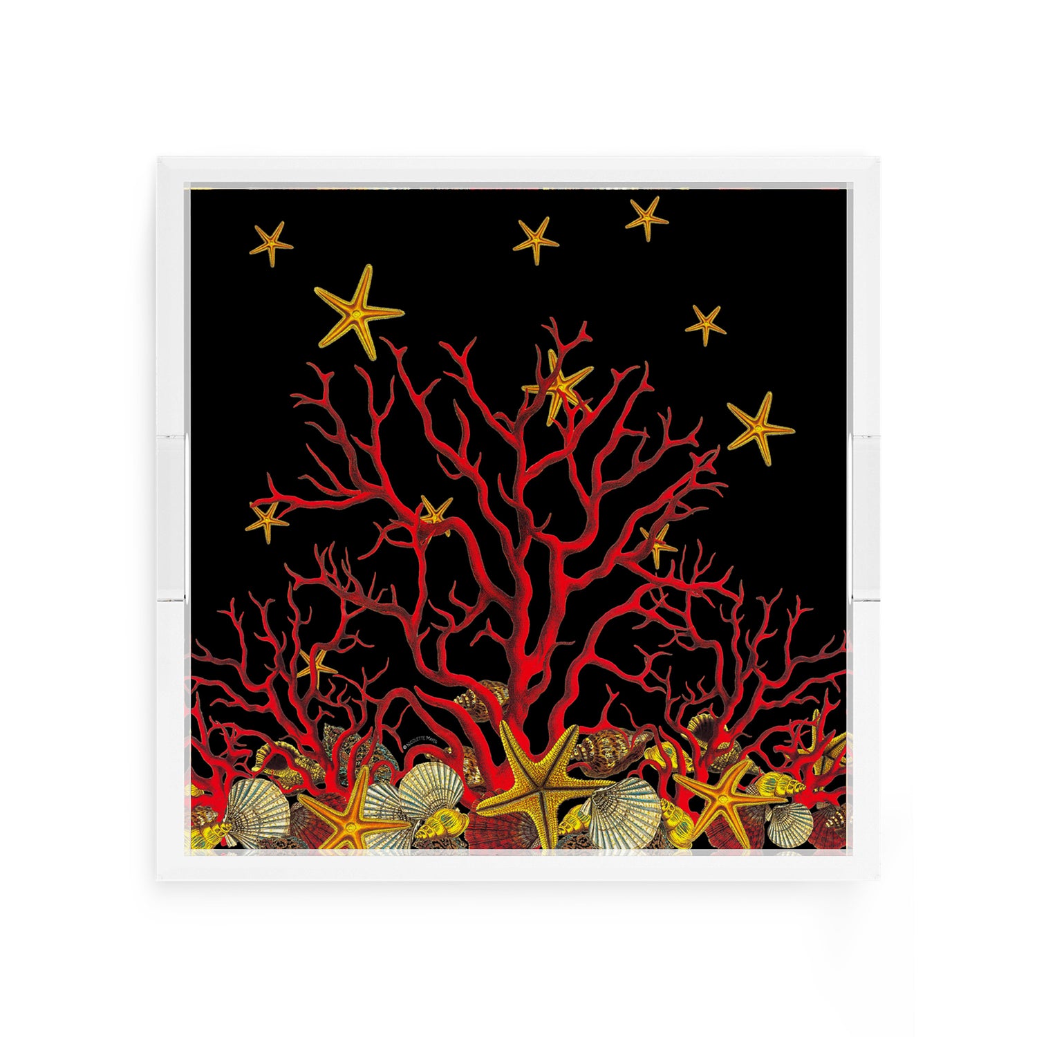 Coral Reef Solid Black 12X12 Acrylic Tray - nicolettemayer.com

