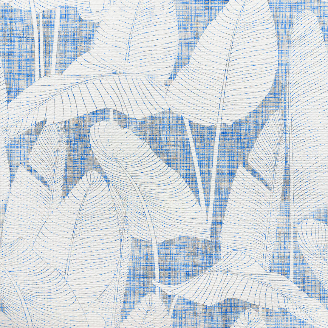 Costa Breezy swatch