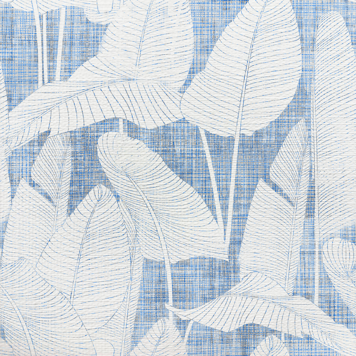Costa Breezy swatch