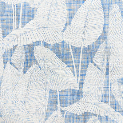 Costa Breezy swatch