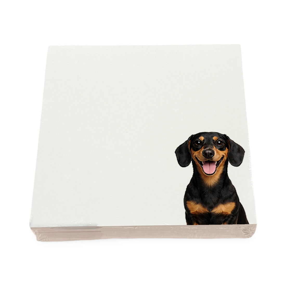 Dachshund dog note cards by Nicolette Mayer, set of 100