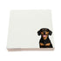 Dachshund dog note cards by Nicolette Mayer, set of 100