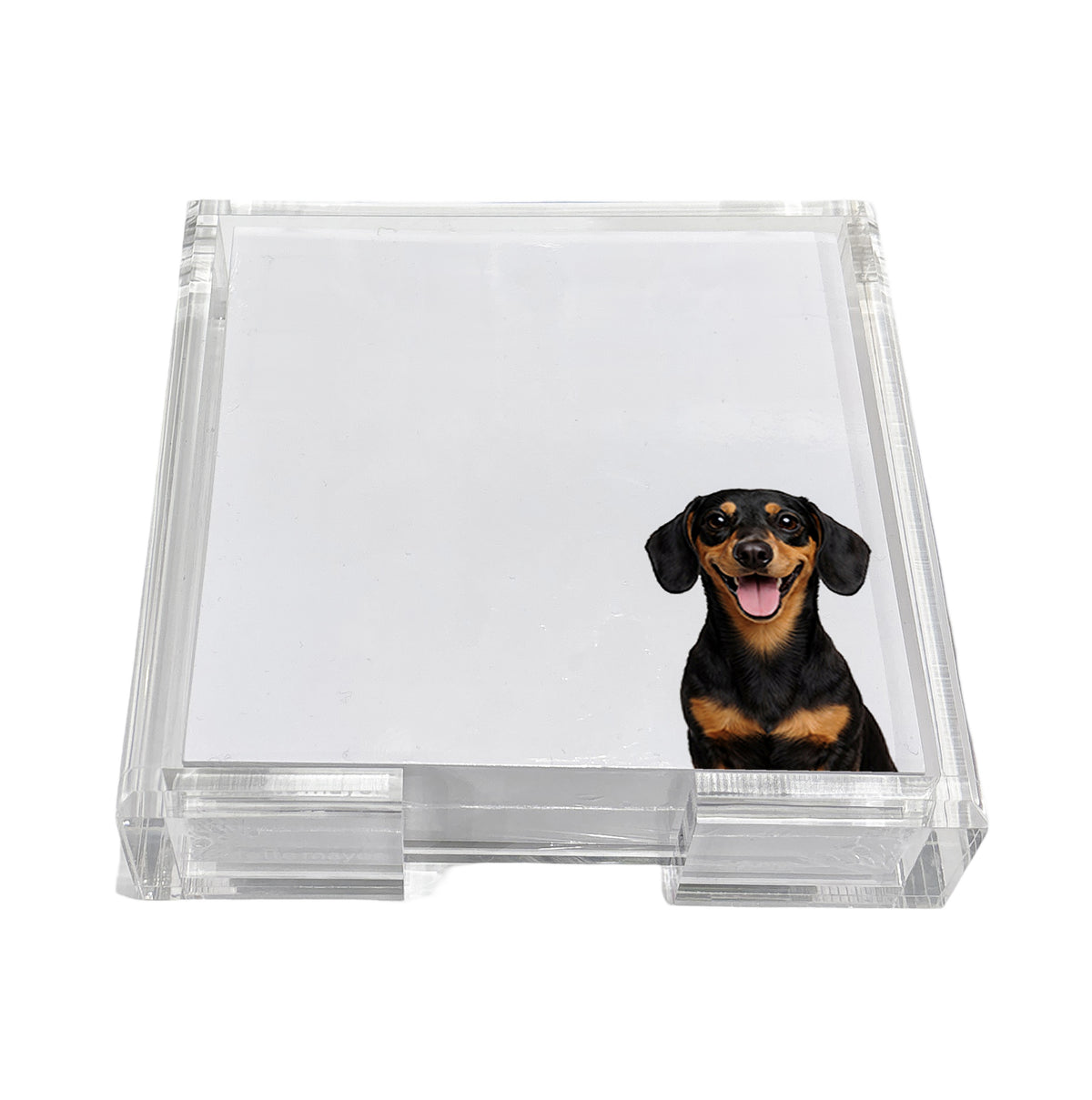 Dachshund dog note cards in a clear acrylic holder by Nicolette Mayer