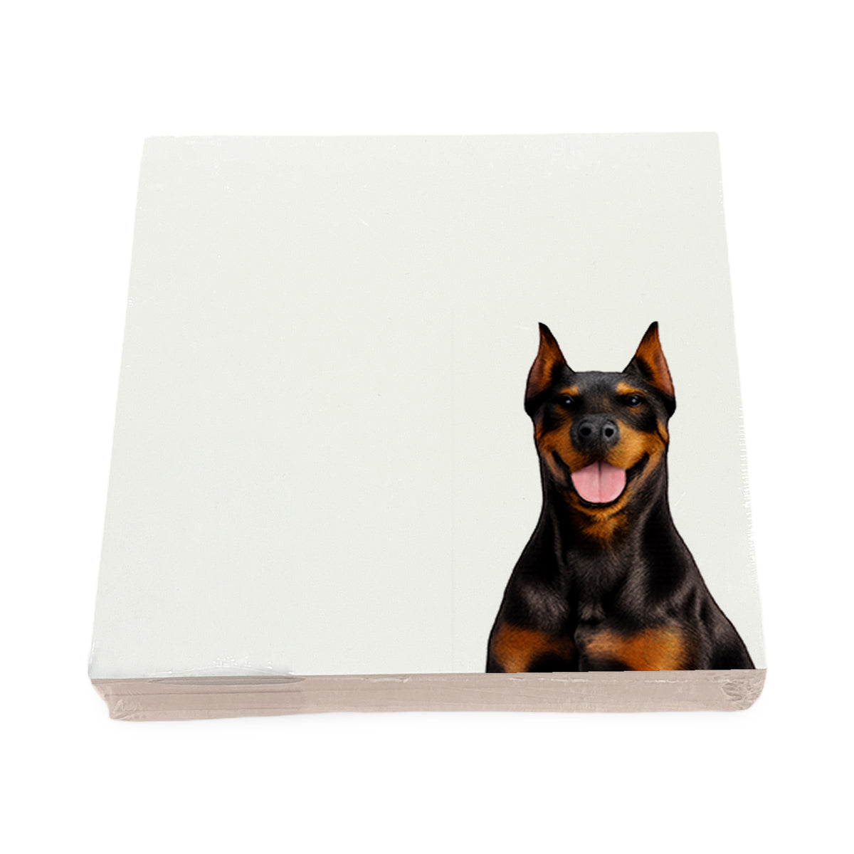 Doberman dog note cards by Nicolette Mayer, set of 100