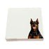 Doberman dog note cards by Nicolette Mayer, set of 100