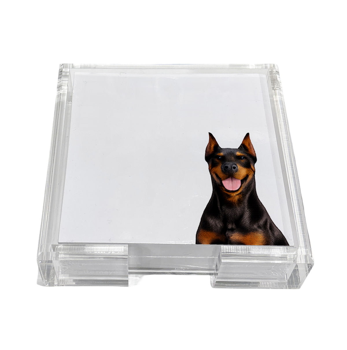 Doberman dog note cards in a clear acrylic holder by Nicolette Mayer