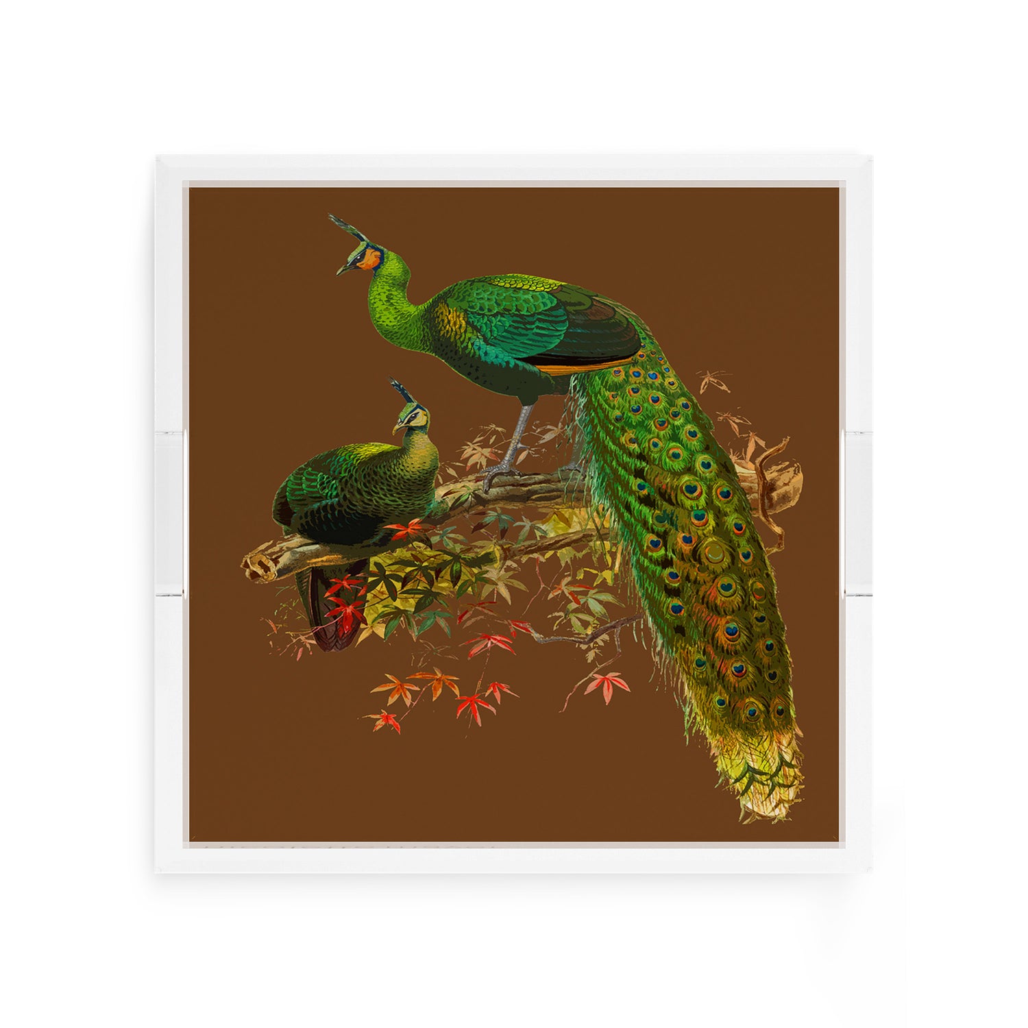 Family Pheasants Brown 12X12 Acrylic Tray - nicolettemayer.com
