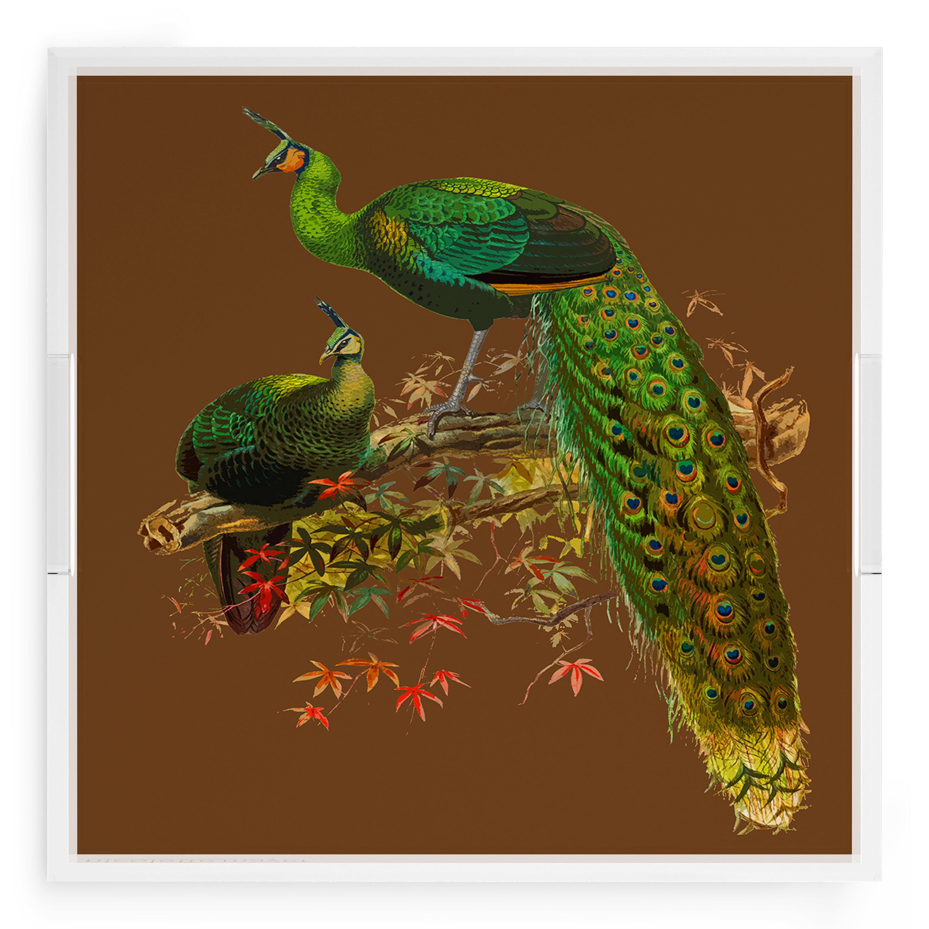 Family Pheasants Brown 18X18 Acrylic Tray - nicolettemayer.com

