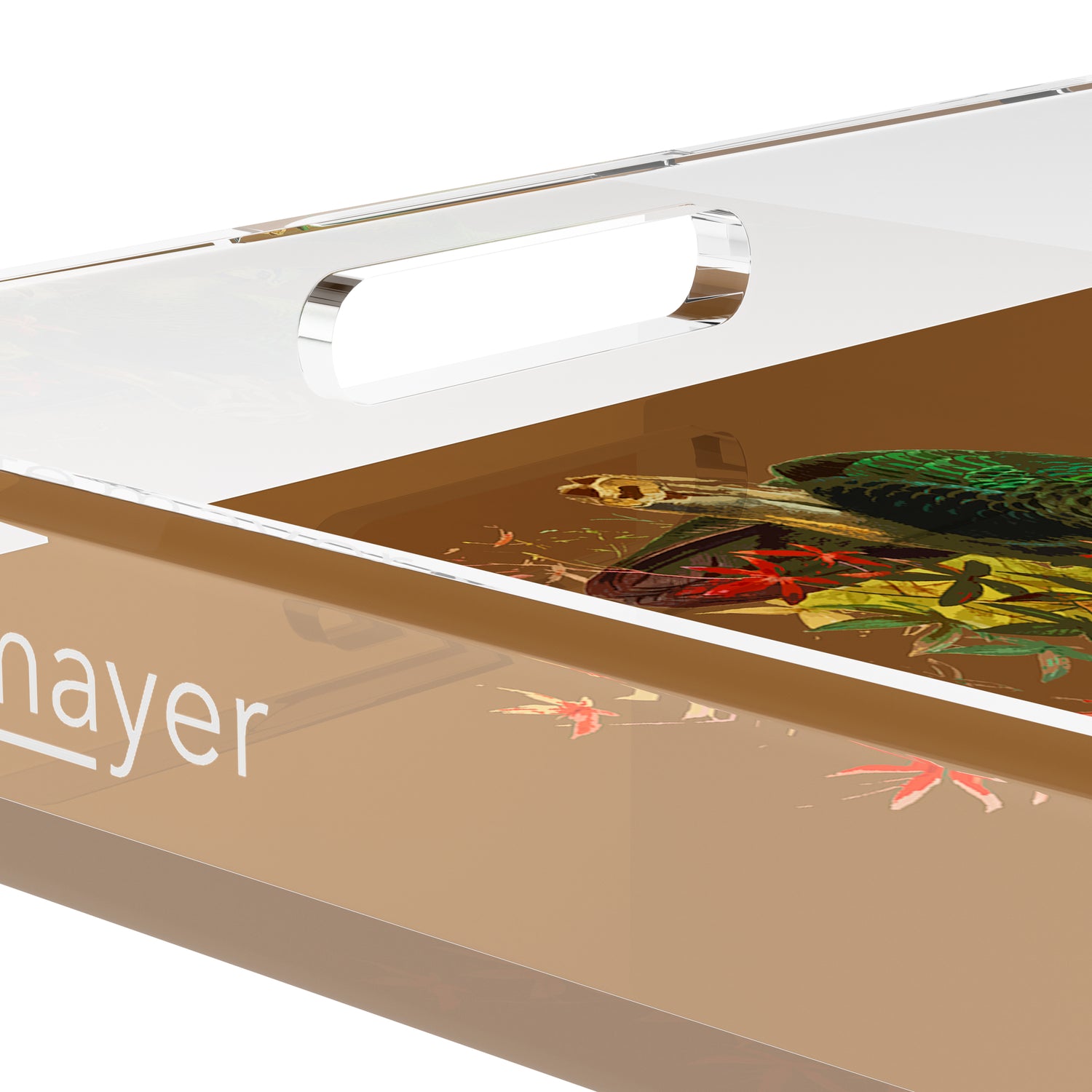 Family Pheasants Brown 18X18 Acrylic Tray - nicolettemayer.com
