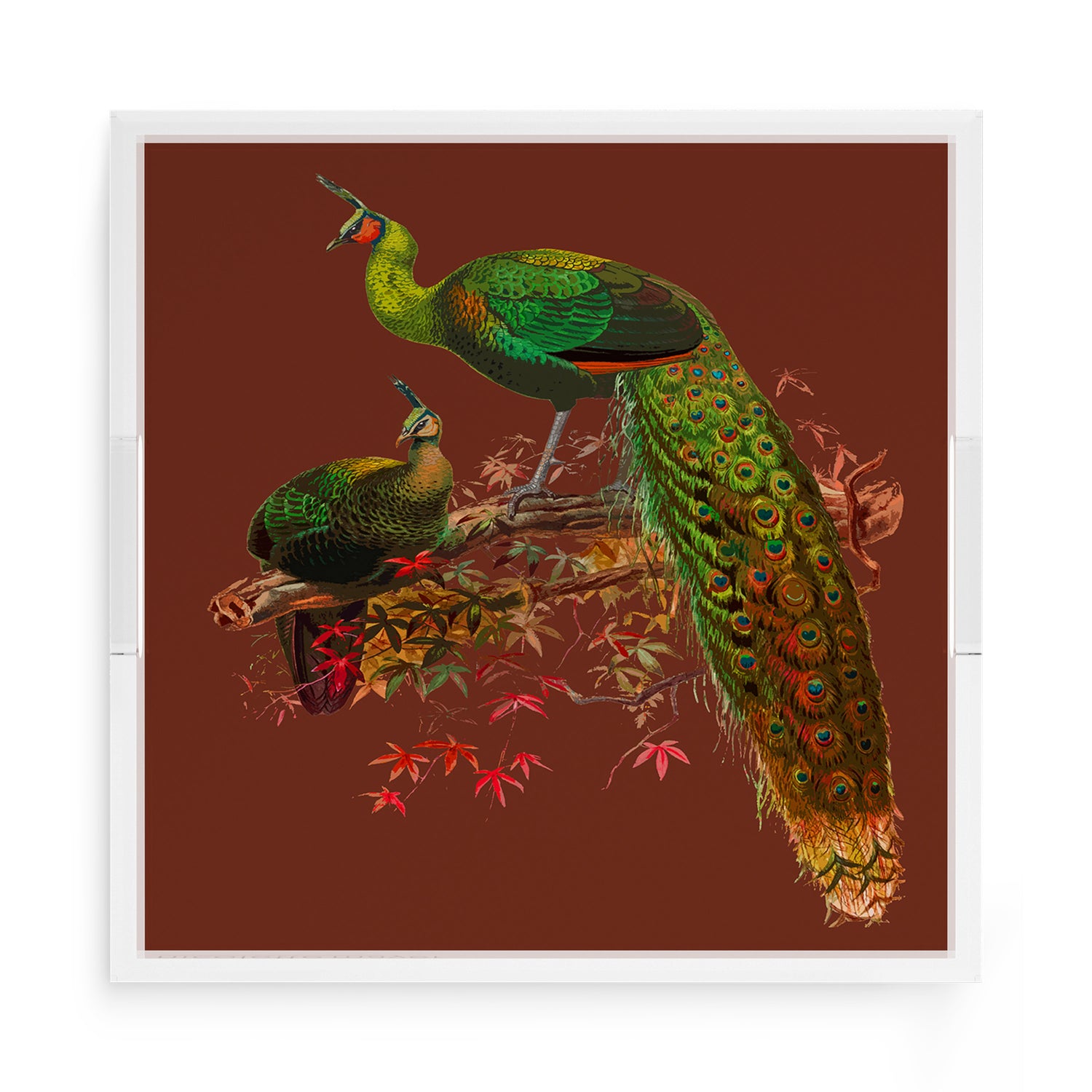 Family Pheasants Rust 15X15 Acrylic Tray - nicolettemayer.com
