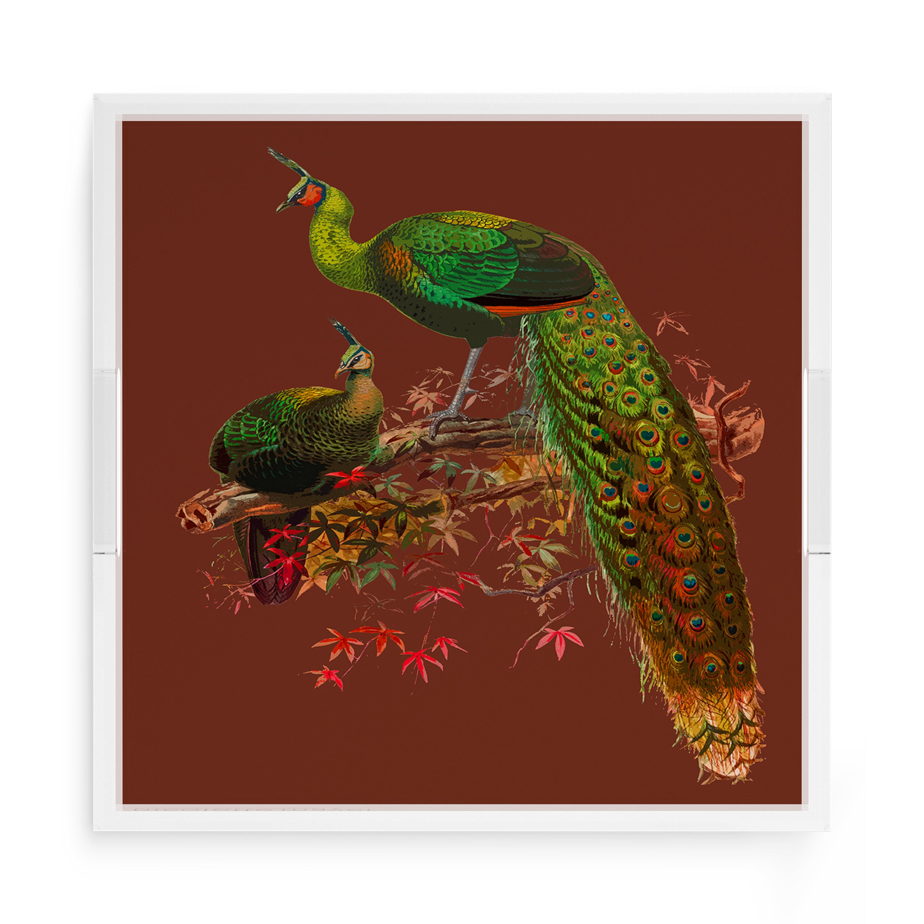 Family Pheasants Rust 15X15 Acrylic Tray - nicolettemayer.com
