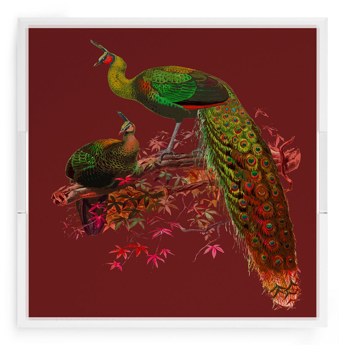 Family Pheasants Maple 18X18 Acrylic Tray - nicolettemayer.com
