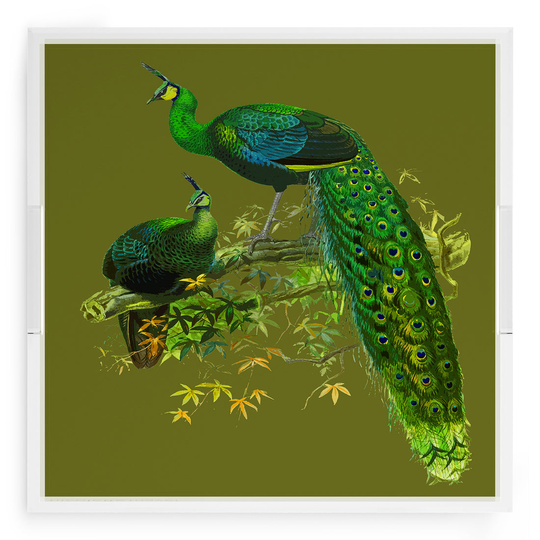 Family Pheasants Olive 18X18 Acrylic Tray - nicolettemayer.com
