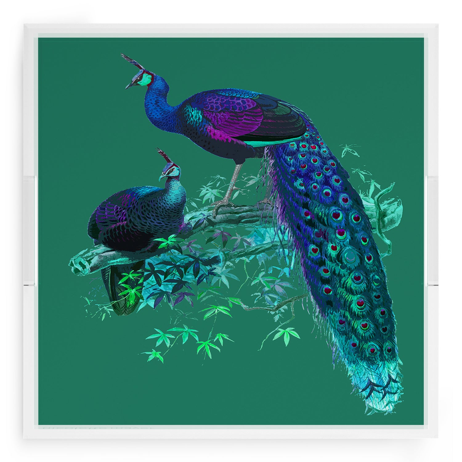 Family Pheasants Peacock 18X18 Acrylic Tray - nicolettemayer.com
