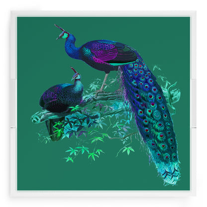 Family Pheasants Peacock 18X18 Acrylic Tray - nicolettemayer.com

