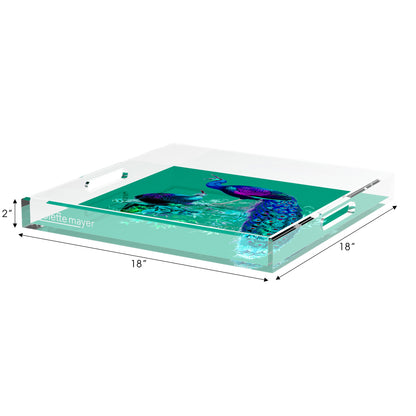 Family Pheasants Peacock 18X18 Acrylic Tray - nicolettemayer.com
