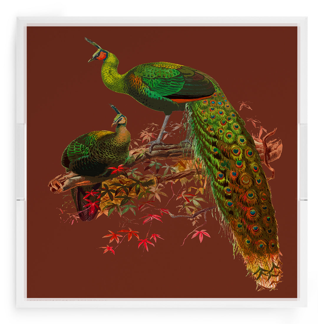 Family Pheasants Rust 18X18 Acrylic Tray - nicolettemayer.com

