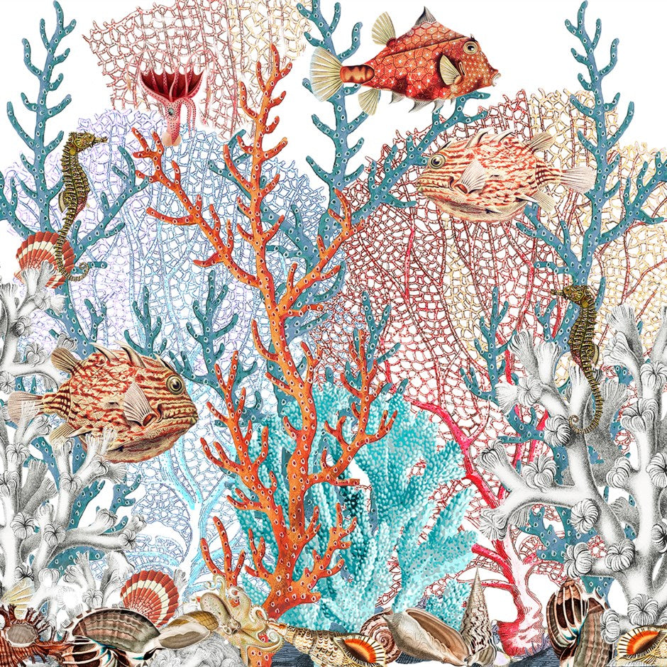 Fan Coral Reef White 36x36" Modern Acrylic Wall Art