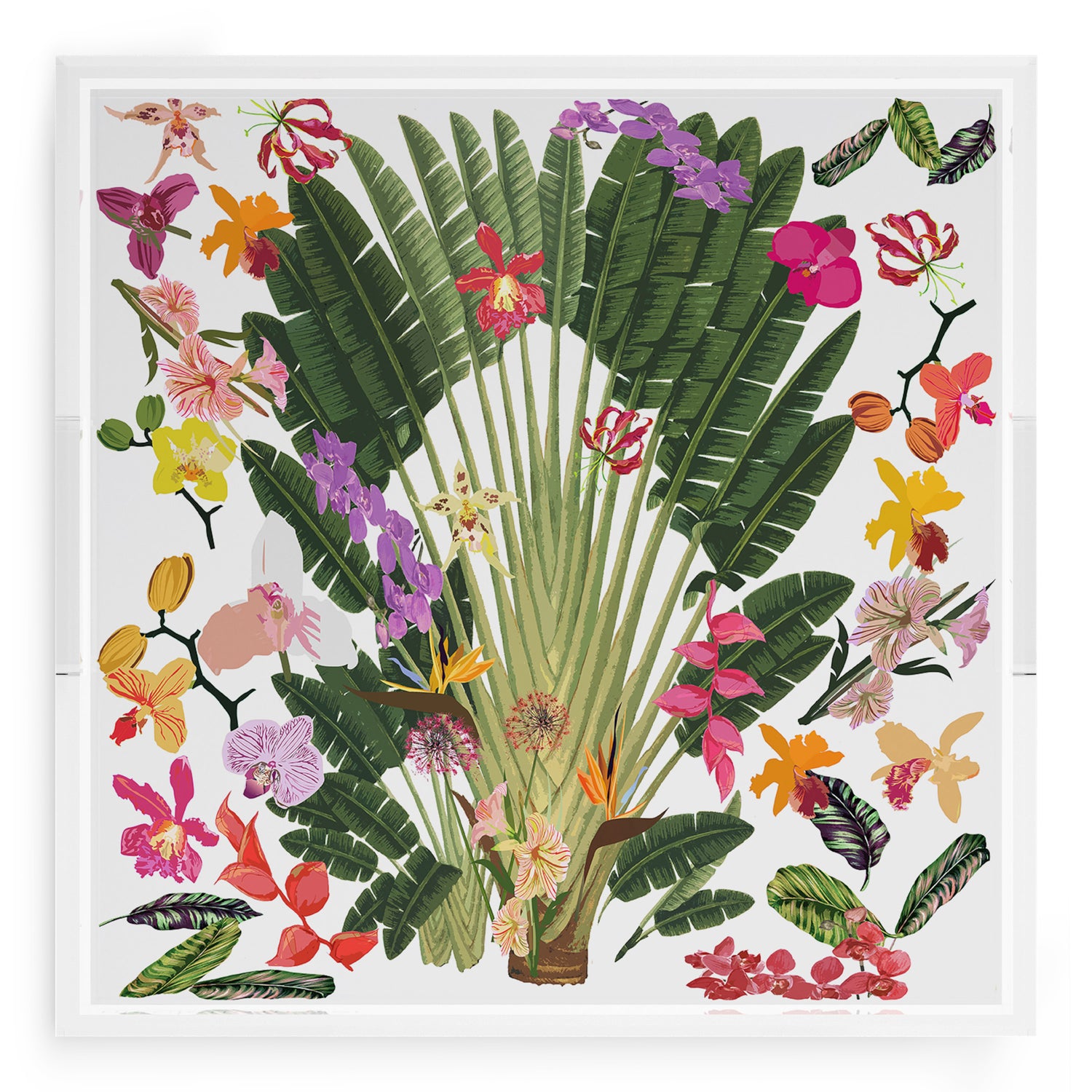 Fantasy Tropical White 18X18 Acrylic Tray - nicolettemayer.com
