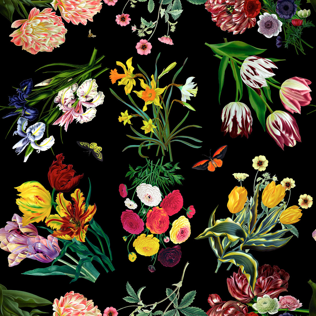 Flora &amp; Fauna Black