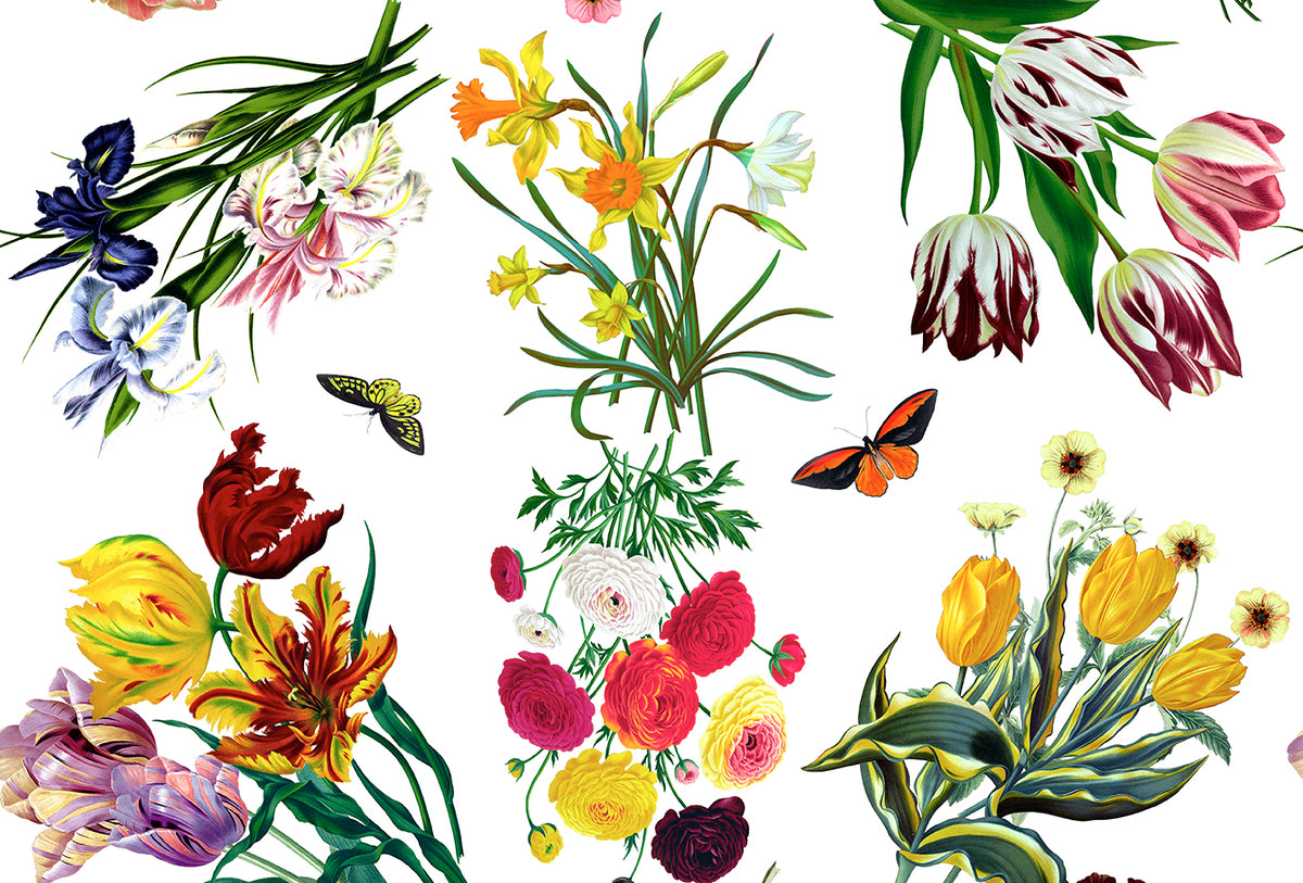 Flora Fauna White Paper Placemat by Nicolette Mayer