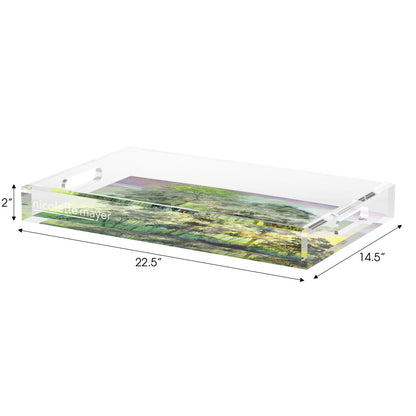 Forest For The Trees Healdsurg Acrylic Decorative Tray, 22.5 x 14. in. by Nicolette Mayer 