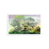 Forest For The Trees Healdsurg Acrylic Decorative Tray, 12.5 x 7.75 in. by Nicolette Mayer 