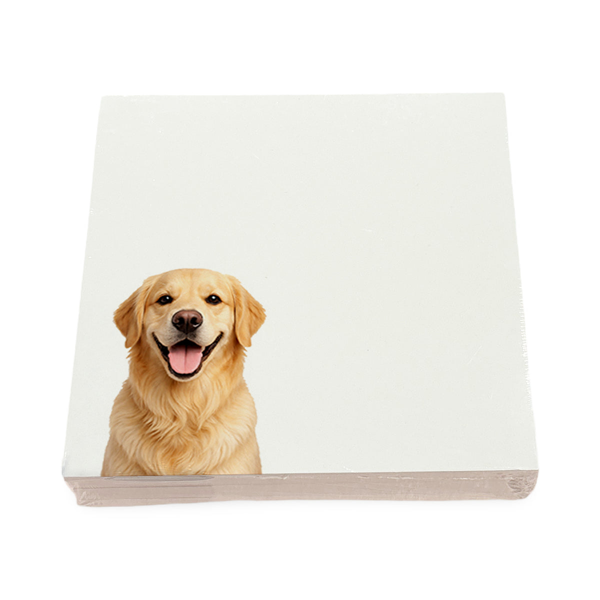 Golden Retriever dog note cards by Nicolette Mayer, set of 100