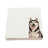 Husky dog note cards by Nicolette Mayer, set of 100